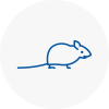 Mice Exterminators In Smethwick